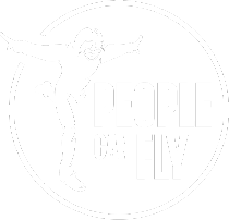 people can fly image